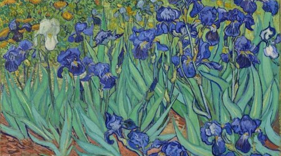 Tempos de quarentena e a possibilidade para o novo