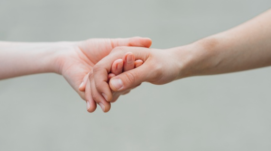 Empatia tem manual de instruções?