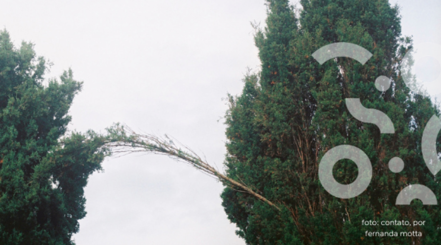 Raízes da clínica social no Brasil