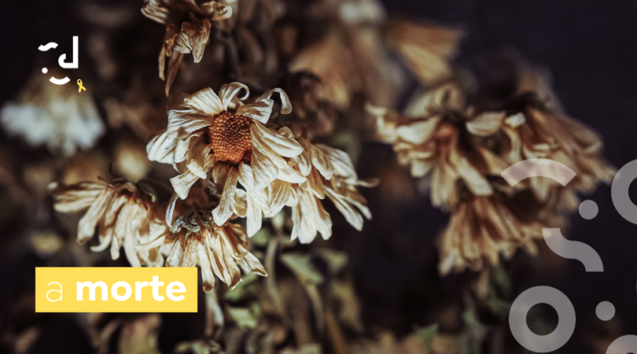 A MORTE
